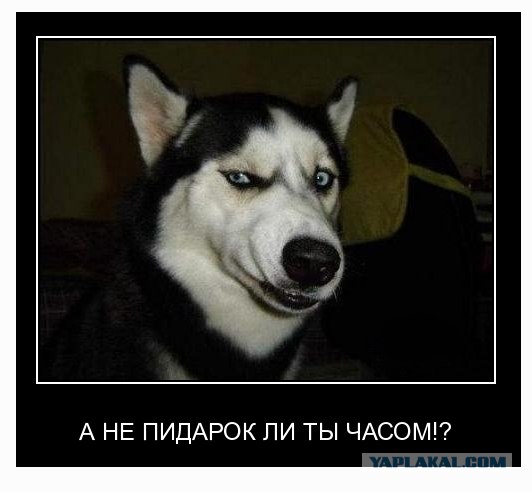 Австралийский "супергерой"