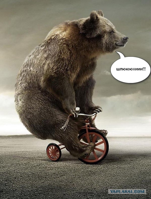 Новая мода?