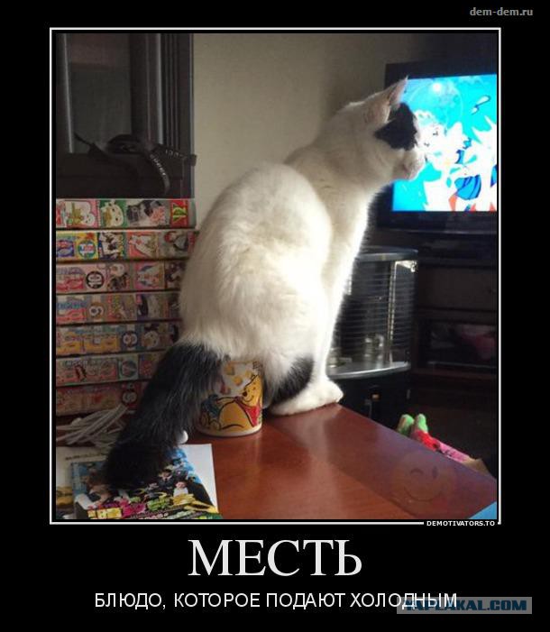 Убрались..