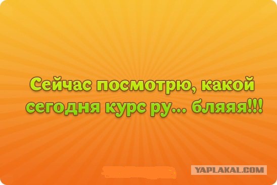 Только выиграли от обвала рубля