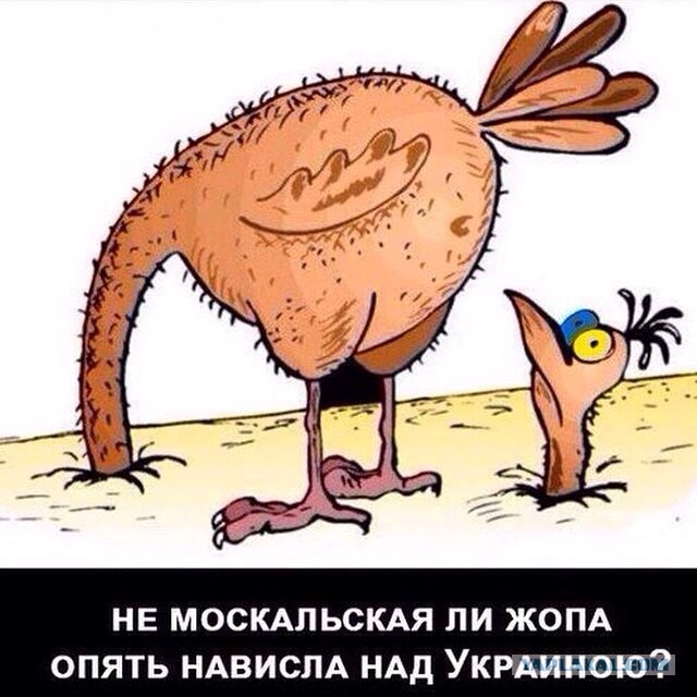 Украина и США обнаружили российский флот