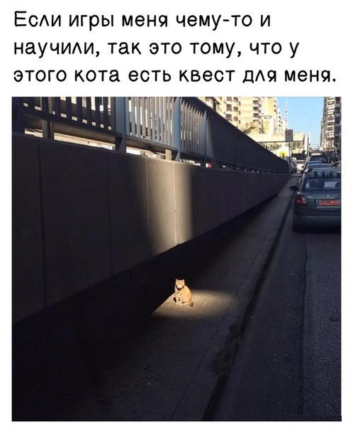 Картинки из сети