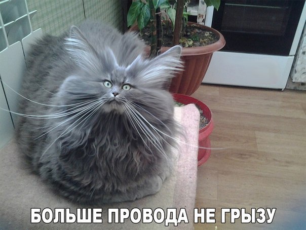 Гиф и картинок подборка!