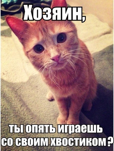 Веселые картинки. Пошлые и не очень.