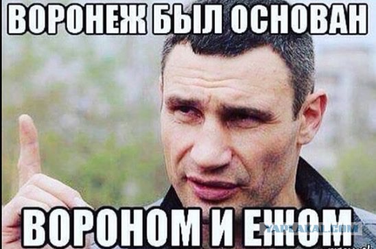 Забавные картинки из Сети