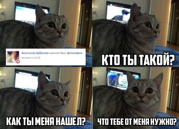 А давайте улыбнёмся В Новом Году