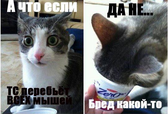 Полугодовое противостояние человека и крысы