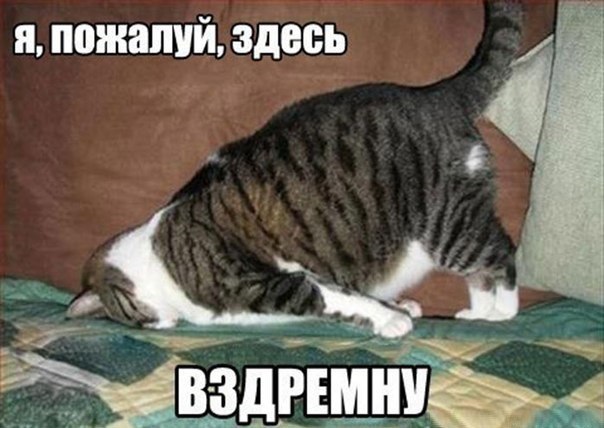 Подборка Картинок из сети