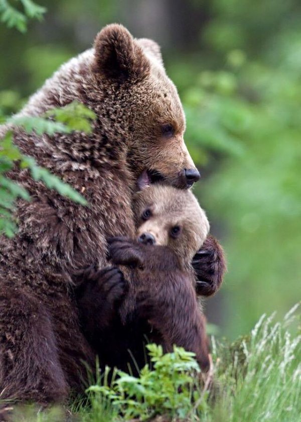 Подборка картинок