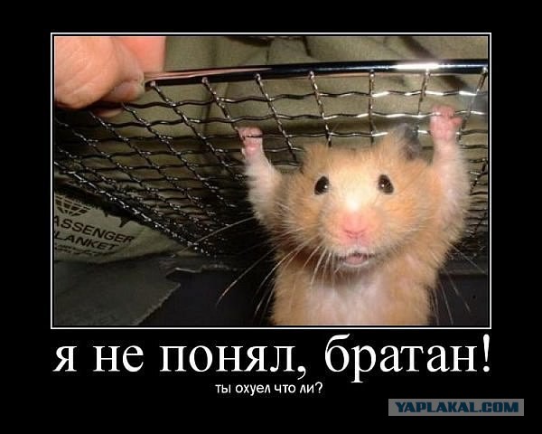 Ученые призвали ВОЗ воздержаться от жесткого контроля электронных сигарет