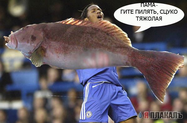 Фотожаба: Футболист Дрогба