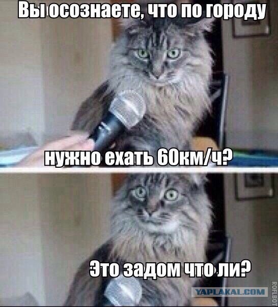 Картинки с надписями