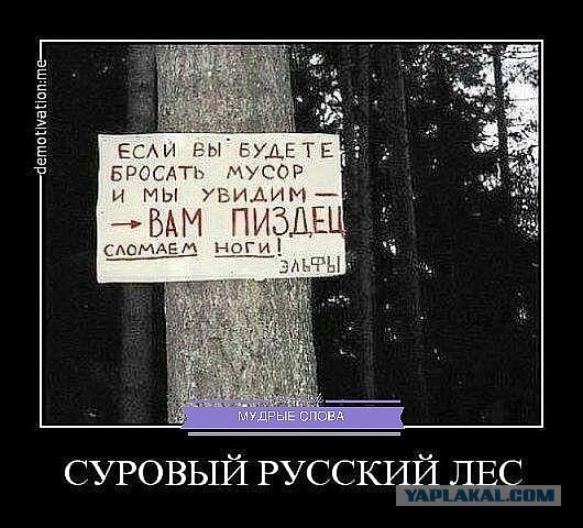 20 фото со всего мира, удивительно напоминающих Россию