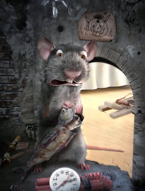 Занятные Иллюстрации