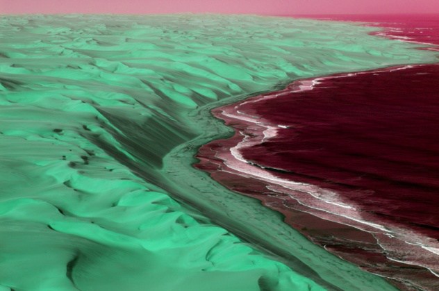 10 причин, по которым инопланетяне вряд ли будут похожи на нас