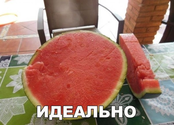 Подборка "баянов" со всего интернета