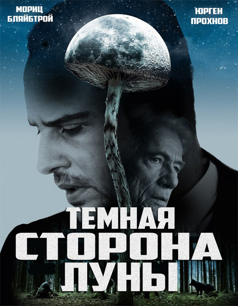 Фильмы, которые стоит смотреть, смотрим сами и советуем другим