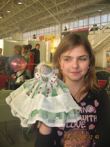 Стильные крысы