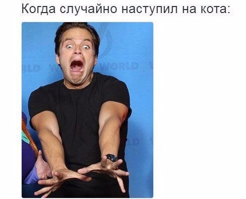 Подборка интересных и веселых картинок