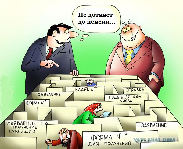 В Совфеде предложили запретить самозанятым гражданам выезд за границу