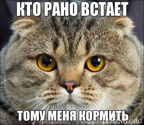 Очередная подборка школьной наркомании