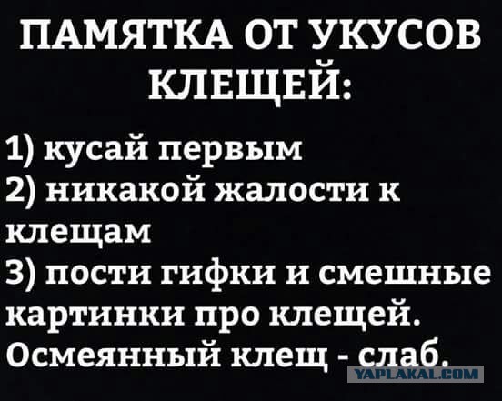Укус Клеща и Ураган в деревне!