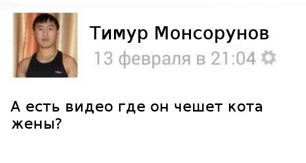 Лысый кот в умелых руках