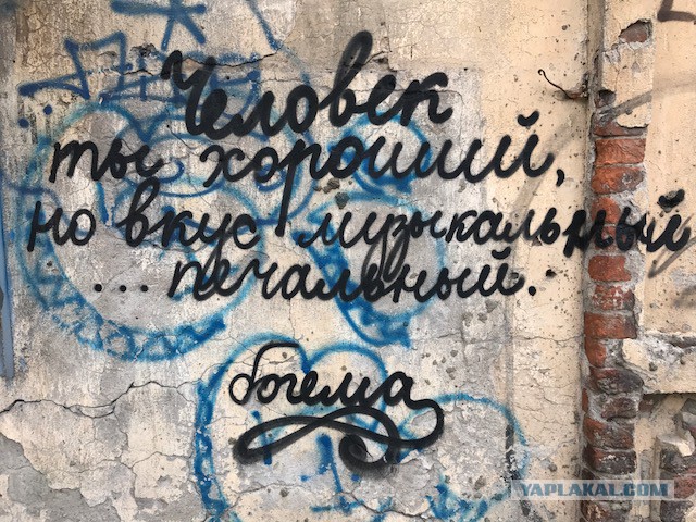 Питерские и околопитерские картинки