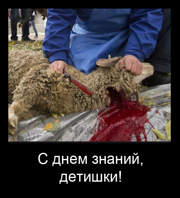 Курбан байрам в Москве, без комментариев...