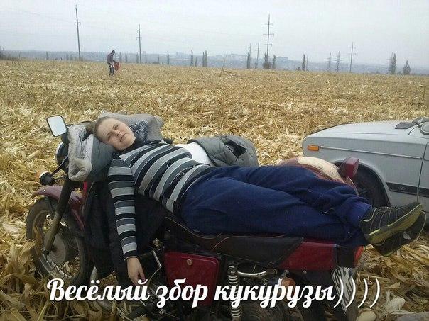 В асоциальных сетях всегда весело