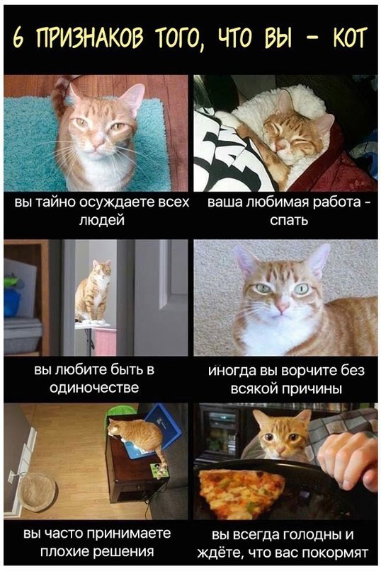 Абсурд, треш и прочие непотребства.