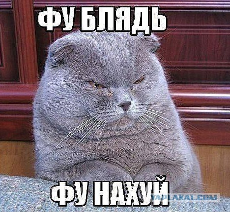 Отменные формы Прасковьи Поздняковой