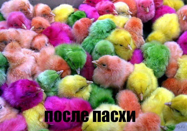 Выходные снова пролетели, но картинок выдам под конец недели