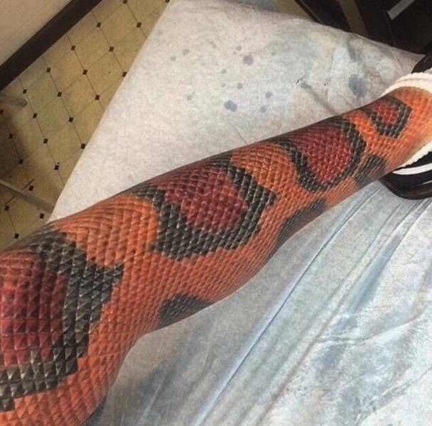 Прикольные картинки обо всем