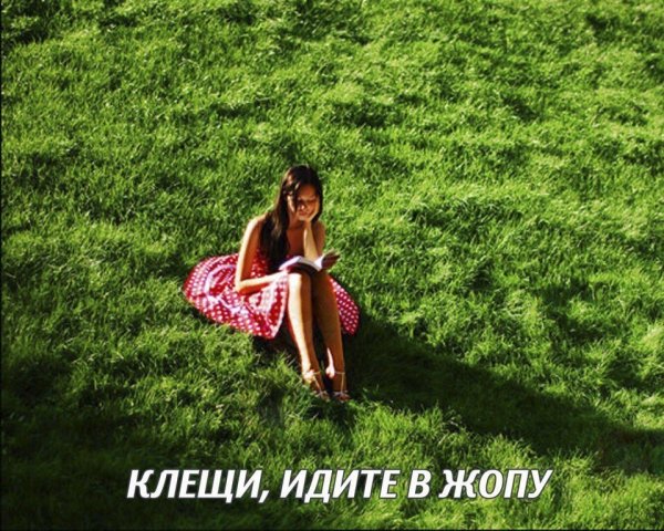 Не очень адекватный юмор