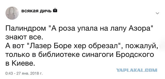 Разные картинки из интернета