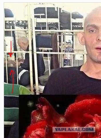 Выловлено в наших сетях