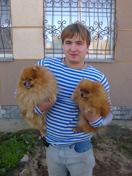 Совсем ручной песик!