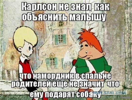 Весёлые и/или жизненные картинки