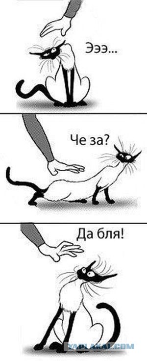 "Гладильные" места