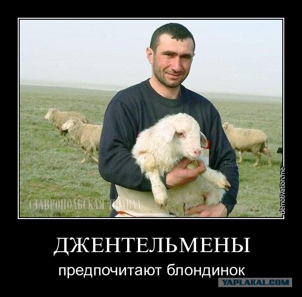 Сибиряк убил свою супругу за то, что она его постоянно «пилила»