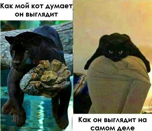 Немного картинок в эту пятницу