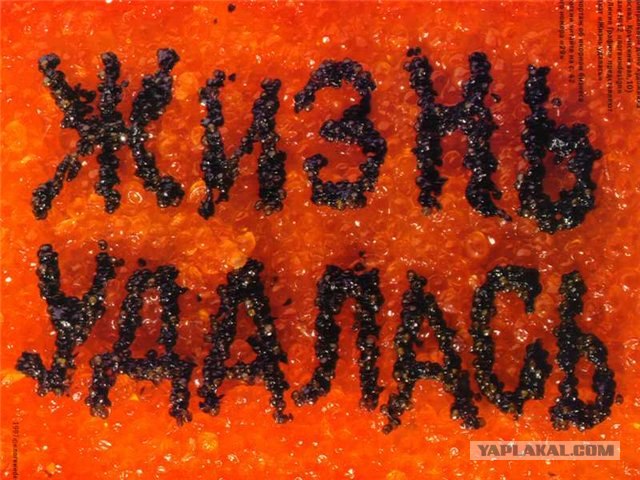 Субботница, много фото!