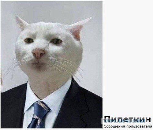Про выживание в провинции