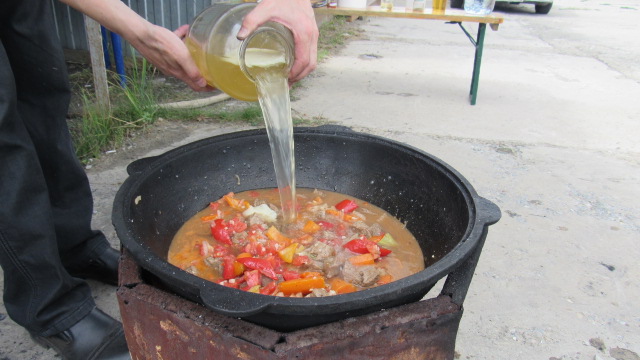 Шурпа обыкновенная, на природе