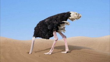 Путин задумал создать новую госкорпорацию