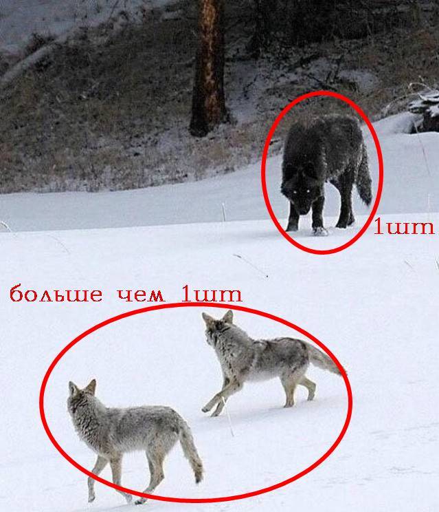 В этом мире так много интересного