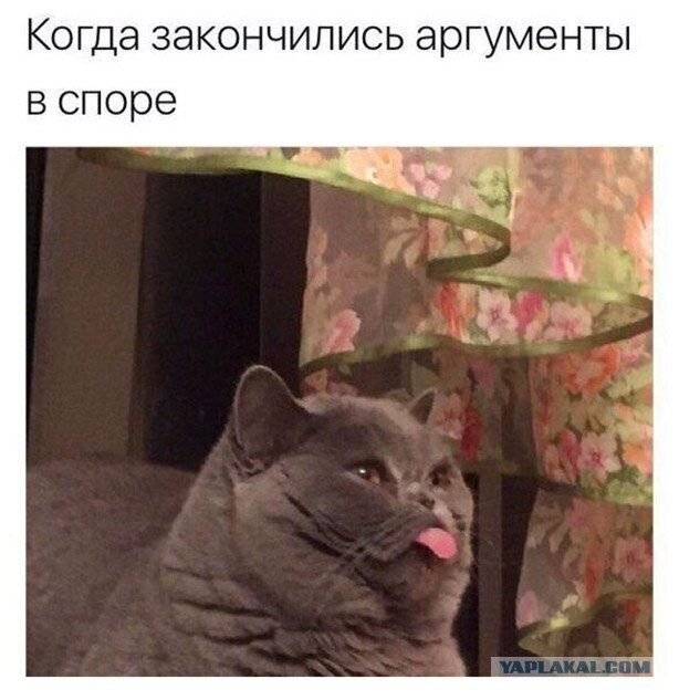 Чуток картинок. Субботний выпуск