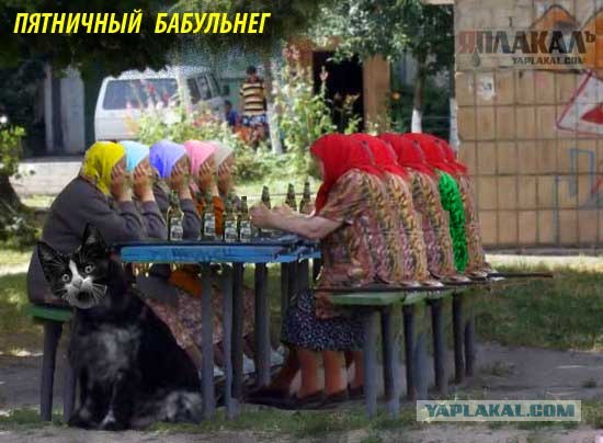 Фотожаба: Пятничные бабки!
