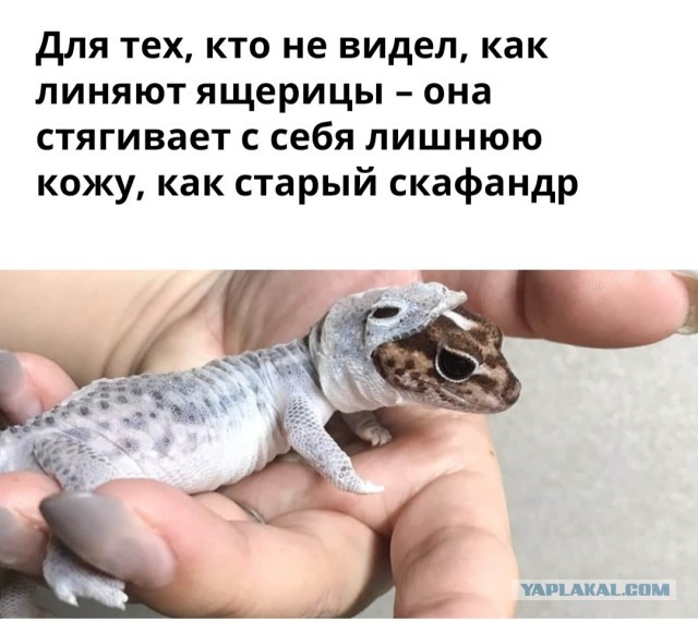 Бредзона 22.07.2020